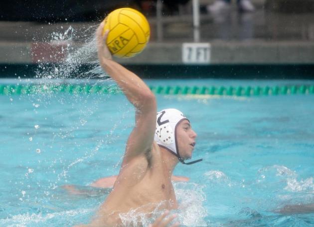 Four Men's Water Polo Players Honored By WWPA
