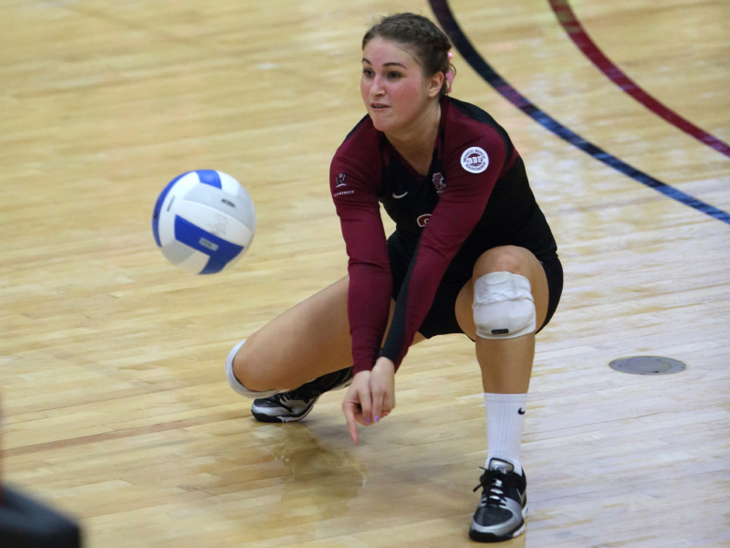 Volleyball Loses In Five At Harvard