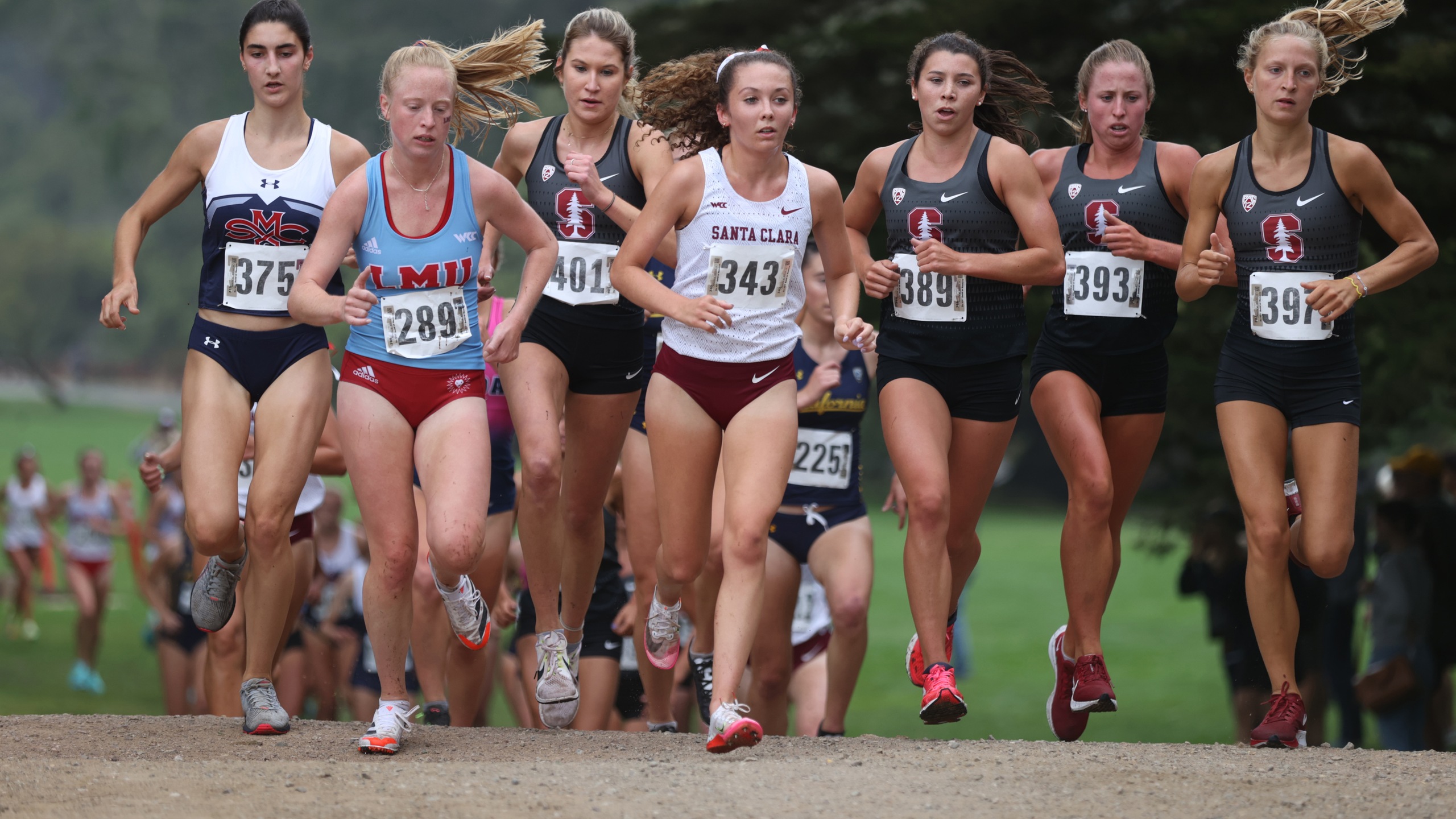 Season Begins for Women's Cross Country at USF Invitational
