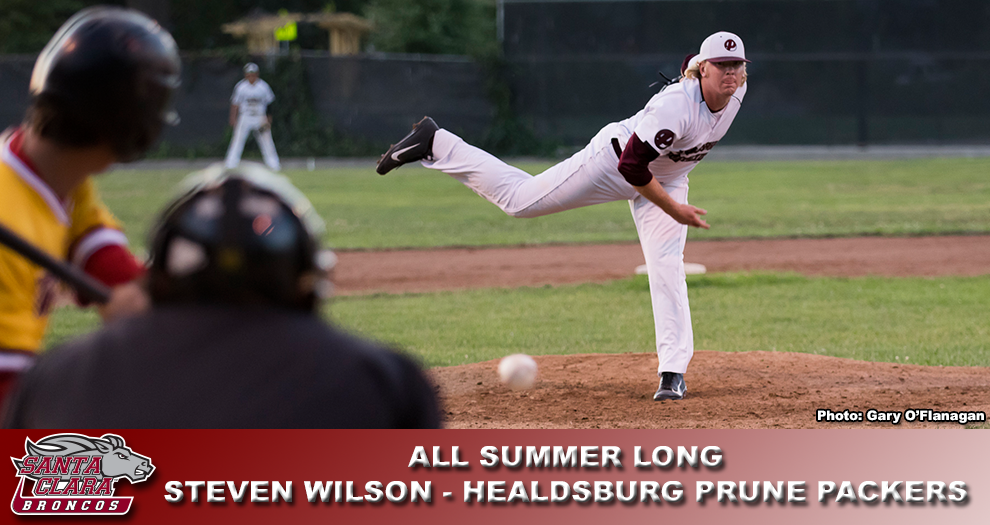 All Summer Long 2015: Steven Wilson — Healdsburg Prune Packers