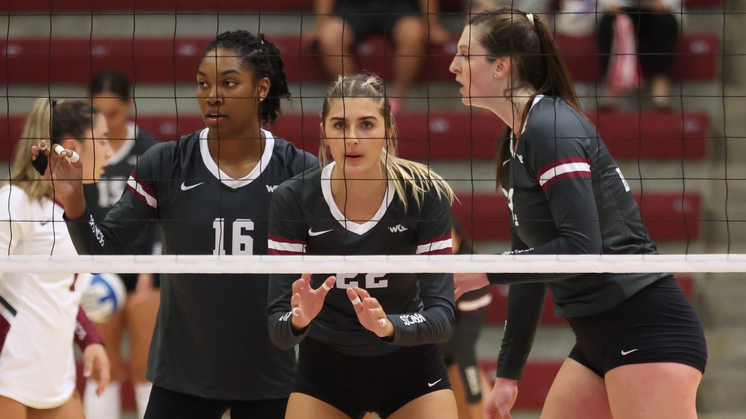 Volleyball Grinds Against Fresno State