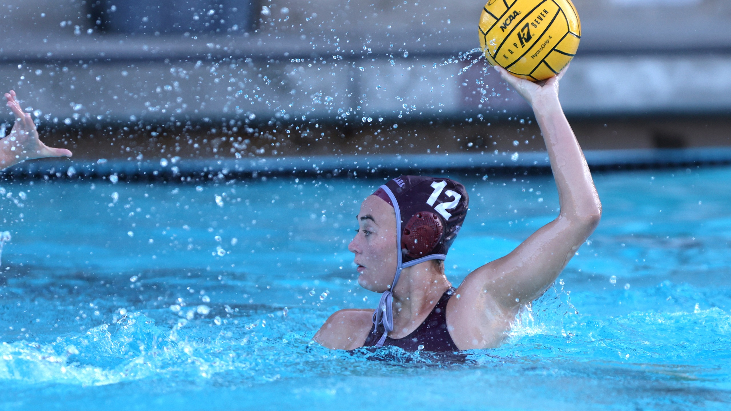 Women's Water Polo Wins Again on Final Day of Bronco Invitational